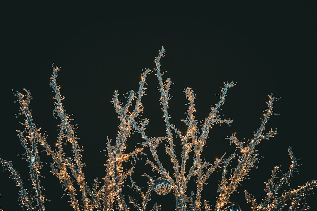 elegant outdoor lighting