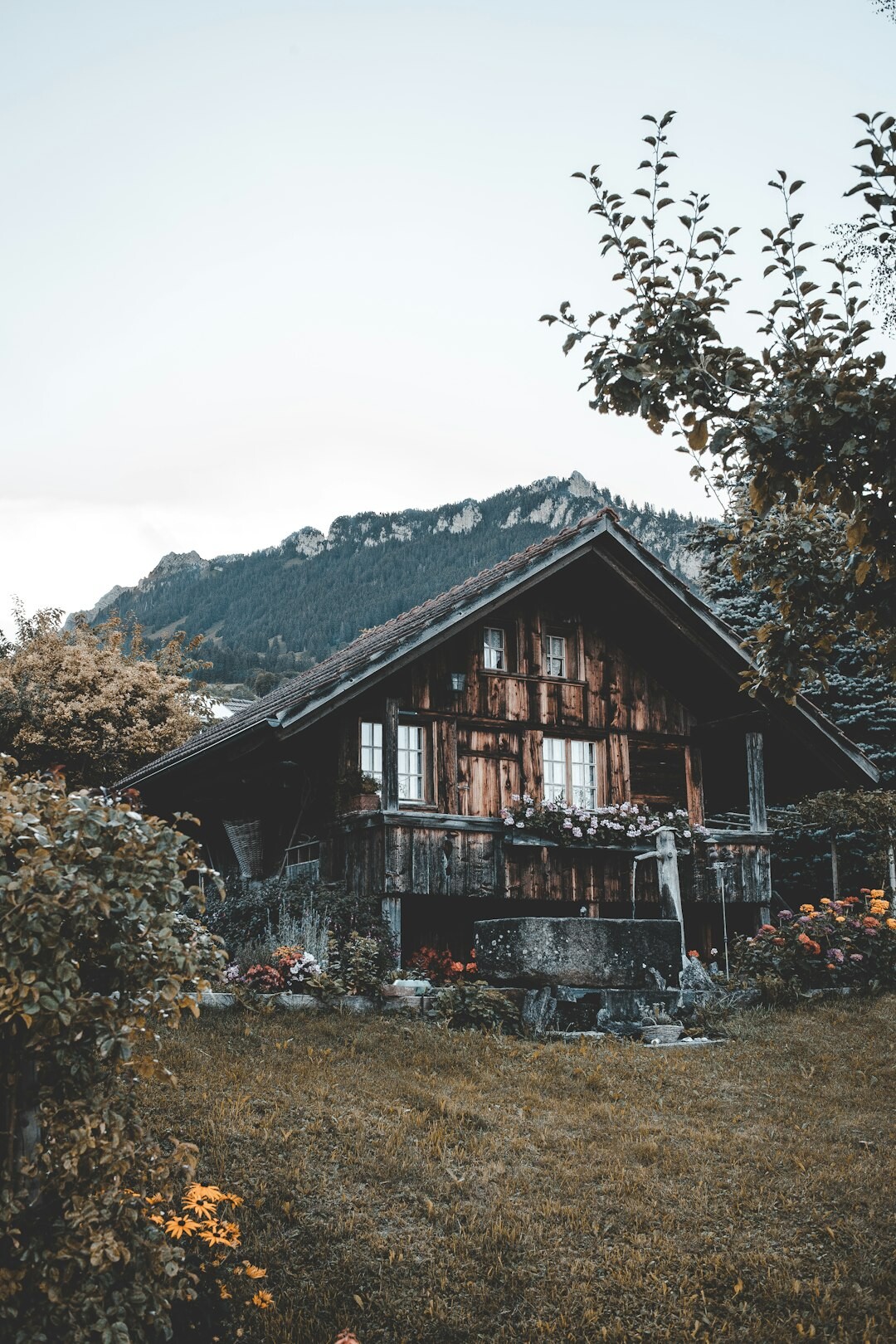 Traditional Swiss wooden chalet exterior in the Alps